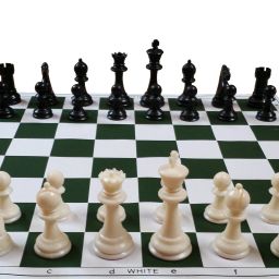 Roll Up Tournament Strategy & War Board Game-21