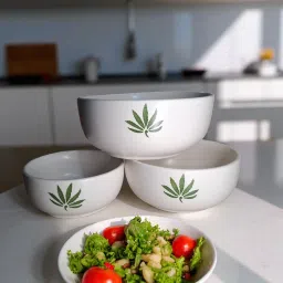 Ceramic Serving Bowl FARIYA Ceramic Big Serving Bowl Set of 3 for Salad, Curries & Pasta Disposable-image-99