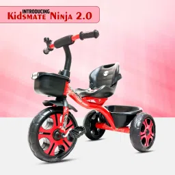 Ninja 2.0 Plug N Play Tricycle Durable with Storage Basket, Safe & Secure, 10 T (inch) Road Cycle-21
