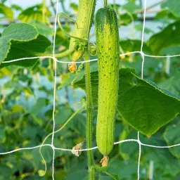 Plant Support Net / Creeper Net / Vegetable Planting Net Garden Tool Kit-0