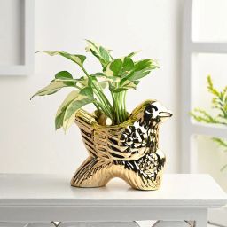 Pothos Plant In Golden Bird Ceramic Pot-image-14