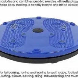 Twist Board Waist Trainer, Twisting Waist Disc Exercise Ab Exerciser-21