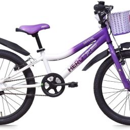 Crystal 20 T (inch) Recreation Cycle-75