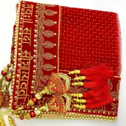Net Embroidered Red Women Dupatta-image-42