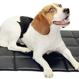 Small Black Mat Dog, Cat Pet Mat-image-71
