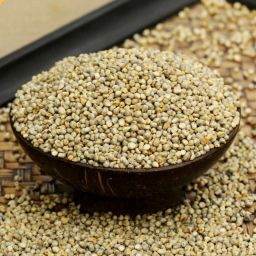 Bajra - Pearl Millets - Sajjalu - Sajje - Kambu - Pindi - Kambam Seed-image-2