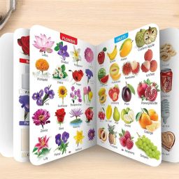 Learning board book for kids, My First Giant Board Book (English-Hindi) Topics-22