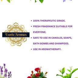EXOTIC AROMAS 9-Pcs Essential Oil For Diffusers & Therapeutic Use - 10ml Each image 4