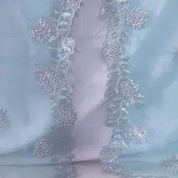 Net Embroidered, Embellished Light Blue Women Dupatta-image-58