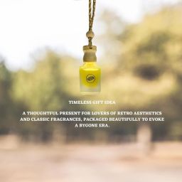 retro vibes Lemon Reed Car Freshener Diffuser Set image 2