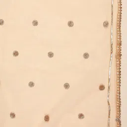Dupatta Bazaar Sequins Embroidered Net Dupatta image 3