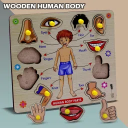 Body Parts Anatomy Skeleton Learning Body Part Puzzle Kids Wooden Toys for Kids-image-11