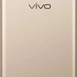 RODIAN VIVO Y55 -GOLD Back Panel-image-37