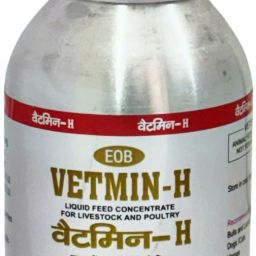 Vitamin-H for animals 250ML 0.25 kg Wet Adult Cow Food-image-40