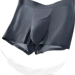 Men Brief-picture-25