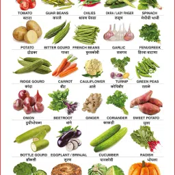 spectrum Educational Large Wall Charts (Set of 5) : ( Colours, Shapes, Numbers 1-10, Fruits & Vegetables ) (English & Marathi Language) image 5