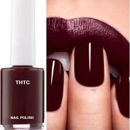 Insta Dry Smudge Proof Glossy Nail polish maroon-39
