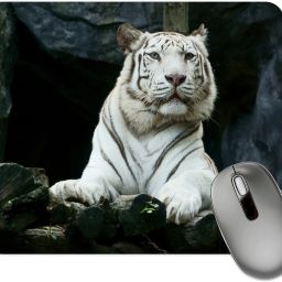 dk printing Super Wala Tiger Printed Mouse Pad Mousepad-picture-22