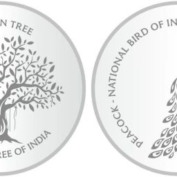 SK2SCF10-BP S 999 20 g Silver Coin-image-79