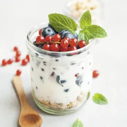 alla's posh flavors Vegan Greek Yogurt Starter | Probiotic Culture | Non-GMO | 100% Vegan Plant Based Cultures | Make Vegan Greek Yogurt at Home Easily | Make Batch-After-Batch Plain Yogurt Powder image 3