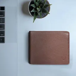 Hidesign Men Brown Textured Leather Two Fold Wallet-33
