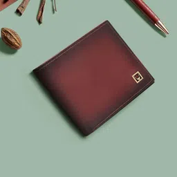 Hidesign Men Textured Leather Two Fold Wallet-image-23