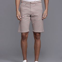 Louis Philippe Sport Men Striped Slim Fit Shorts-image-41