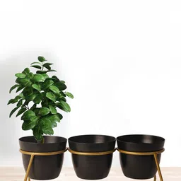 Nymph Reva Home Black 3 Pieces Planters With Stand-picture-41