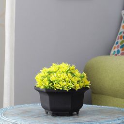 FOLIYAJ Green & Yellow Artificial Plant With Black Pot-50