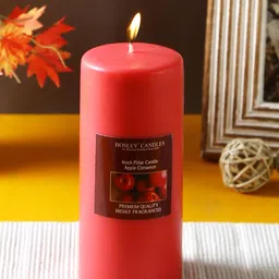 HOSLEY Red Apple Cinnamon Fragranced Wax Pillar Candle-21