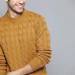 Mast & Harbour Men Mustard Yellow Cable Knit Pullover-image-35