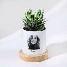 Beloved Memories - Haworthia Succulent With Pot - Personalized-picture-11