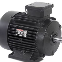 Havells Three Phase 60 HP Foot Mounted IE3 Squirrel Cage Induction Motor, MHPE225MP2-image-50