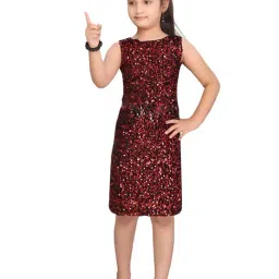 Aarika Kids Red Embellished Dress-image-60