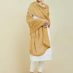 Soch Beige Embroidered Dupatta-39