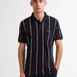 Arrow Sport Blue Cotton Regular Fit Striped Polo T-Shirt-picture-42