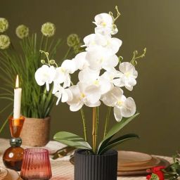 Pure Home and Living Ivory Artificial Orchid in Ceramic Pot-44