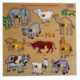 KIDS LOGIC King size Identification Tray - Common Animals - Multicolor-image-39