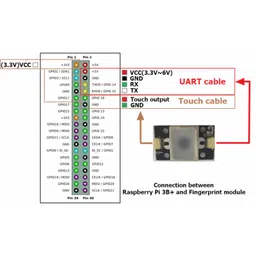 GT521F32 Optical Fingerprint Scanner Module with JST SH Connector image 4