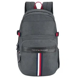 Tommy Hilfiger Android 29 Ltrs Grey Medium Laptop Backpack-image-21
