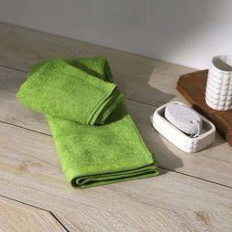 Monte Carlo Oslo Parrot Green 350 GSM Cotton Bath Towel-image-57