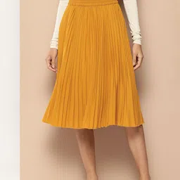 Chemistry Accordion Pleats Flared Skirt-image-54