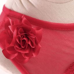Bluebell Woven Sleeveless Party Frock With Sequin Embellished & Net Detailing - Red image 4