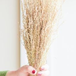 ArteCasa White Star Grass Artificial Plant-13