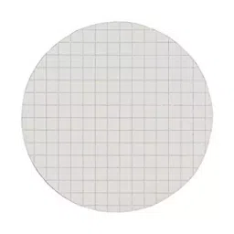 Whatman Filter Paper 8 Ruled Circle 75 mm 10347033-19