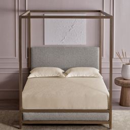 DDecor Jacquard Beige Printed Pure Cotton 300 TC Super King Bedsheet Set - 2.74 m x 2.74 m-picture-43
