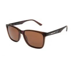 Chilli Beans Brown UV Protection Square Sunglasses for Men-picture-39