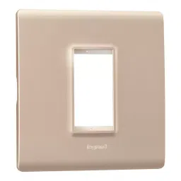 Legrand Cover Plate with Support Frame Allzy Aluminium Champagne 1 Module, 6813 44 (Pack of 20)-picture-36