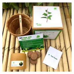 Sow and Grow DIY Gardening Kit - Holy Basil-13