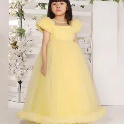 Ministitch Net Balloon Sleeves Pleated Pearl Embellished Gown - Yellow-picture-21
